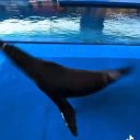 Glorprora Author photo